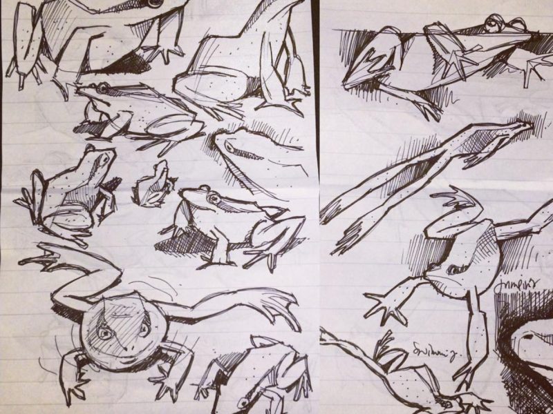 Froggy sketches